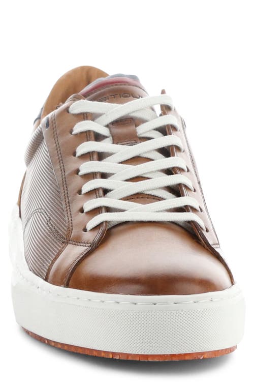 Ambitious 11218 Low Top Sneaker In Camel Leather/suede