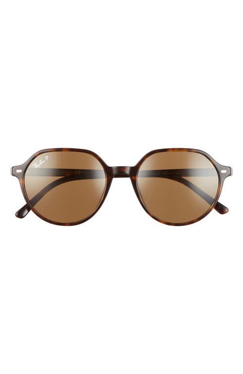 Ray Ban Ray-ban Thalia 53mm Polarized Square Sunglasses In Brown