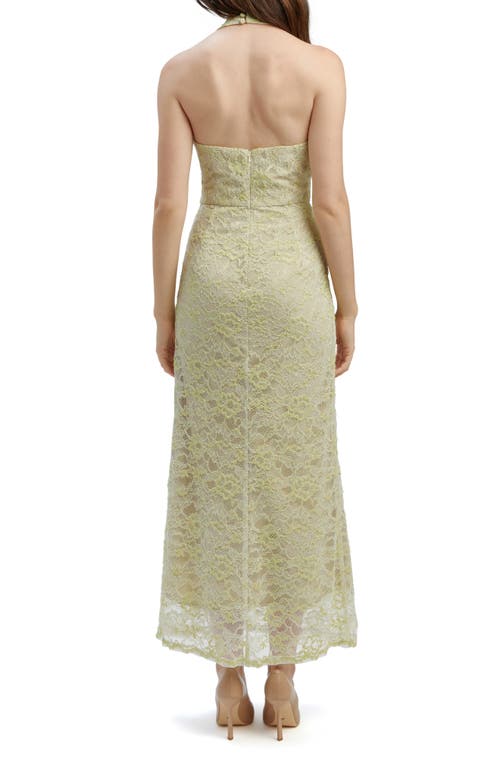 Bardot Evana Lace Midi Dress In Pale Khaki