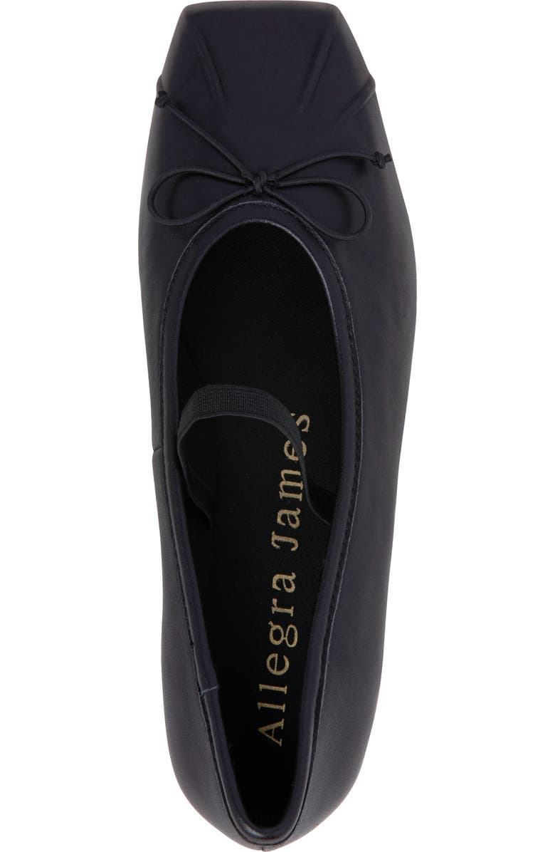 Allegra James Cossie Leather Ballet, Alternate, color,