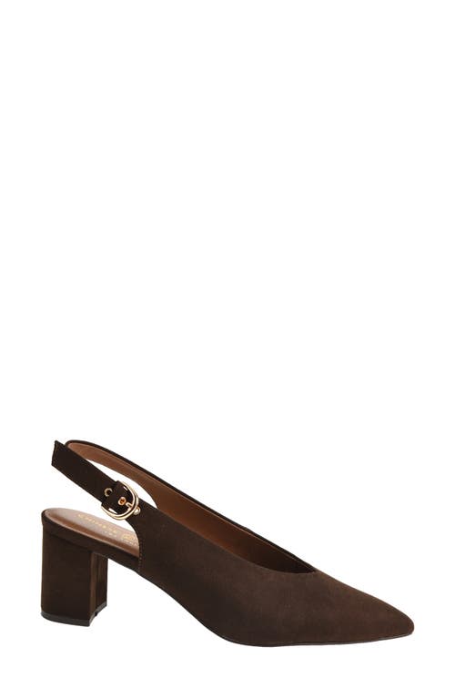 Chinese Laundry Menny Pointed Toe Slingback Pump In Brown