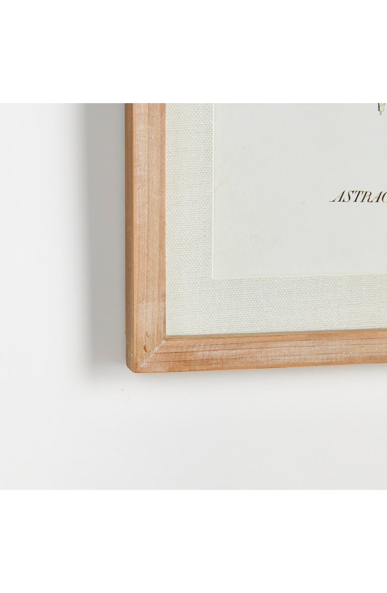 Napa Home & Garden Mid-Summer Blooms Prints Set of 6, Alternate, color, Green