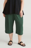 Universal Standard Casual Cotton Culottes