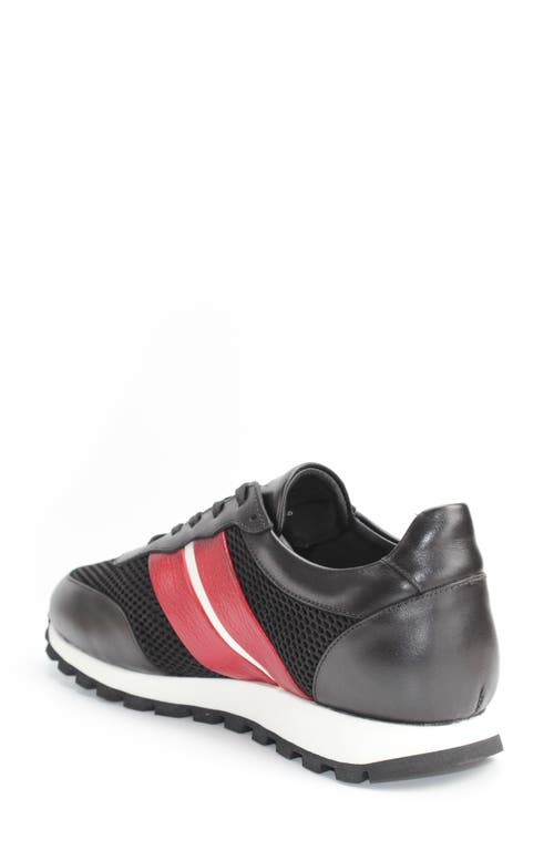 Vellapais Tolar Mesh Sneaker In Multi