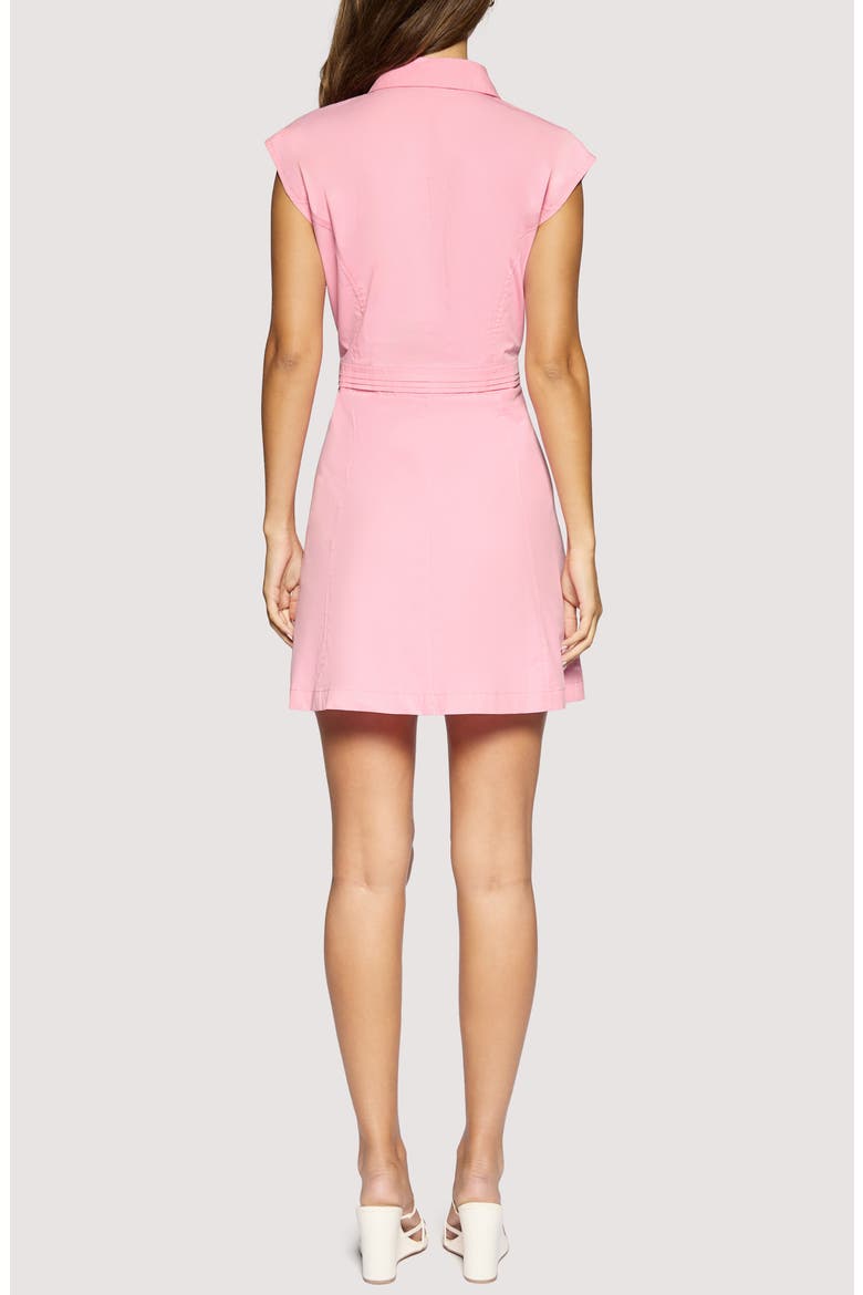 Amalfi Charm Minidress, Alternate, color, PINK