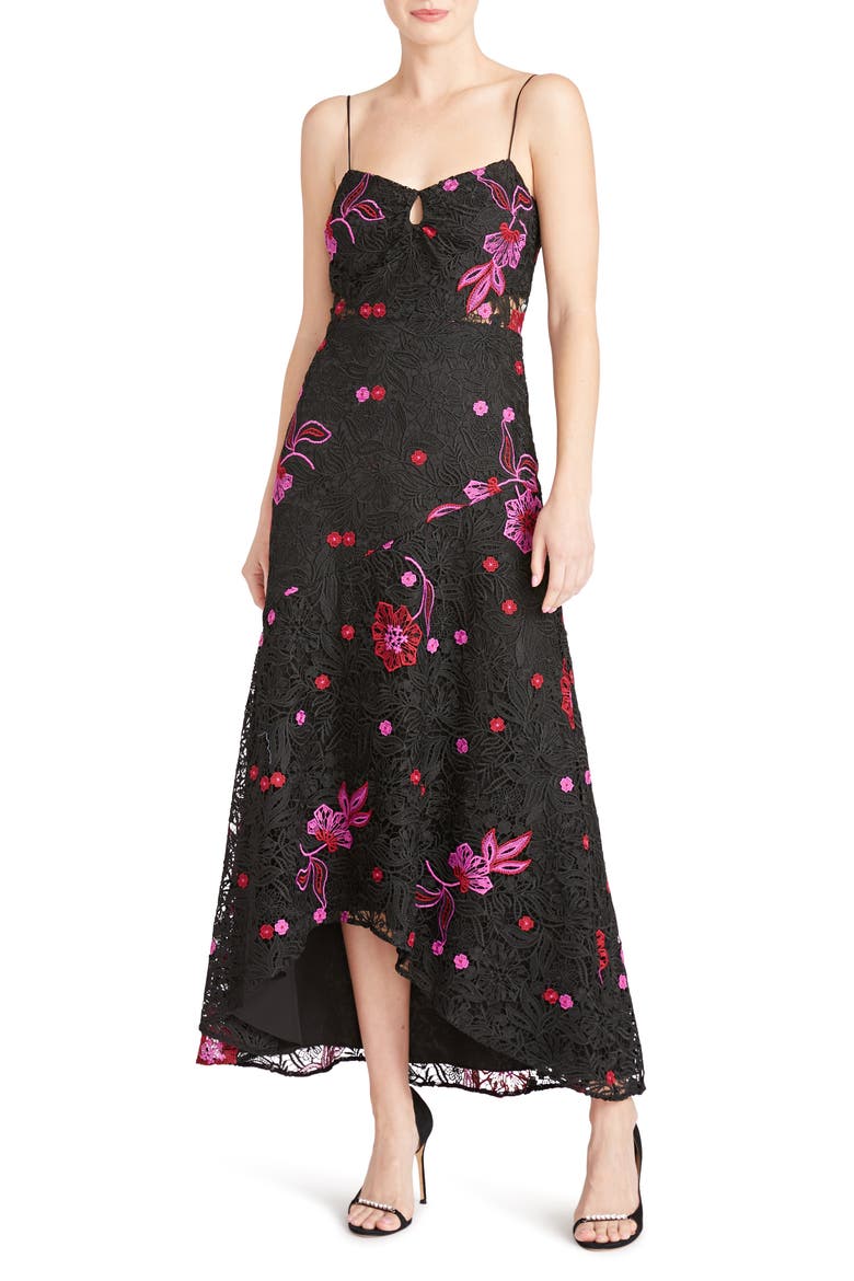 Sleeveless Embroidered Lace A-Line Dress, Main, color, BLACK MULTI