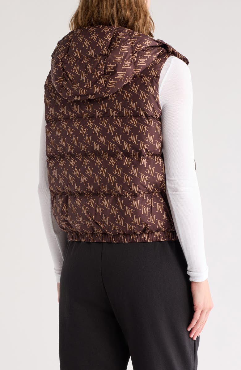 The North Face Hydrenalite<sup>™</sup> Water Repellent 600 Fill Power Down Vest, Alternate, color,