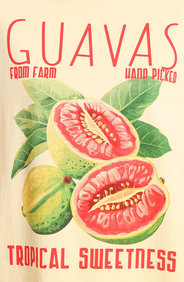 Petal & Pup Guavas Oversize Cotton Graphic T-Shirt, Alternate, color, 