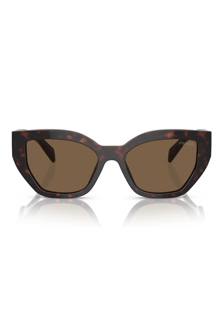 53mm Butterfly Sunglasses, Main, color, DARK BROWN