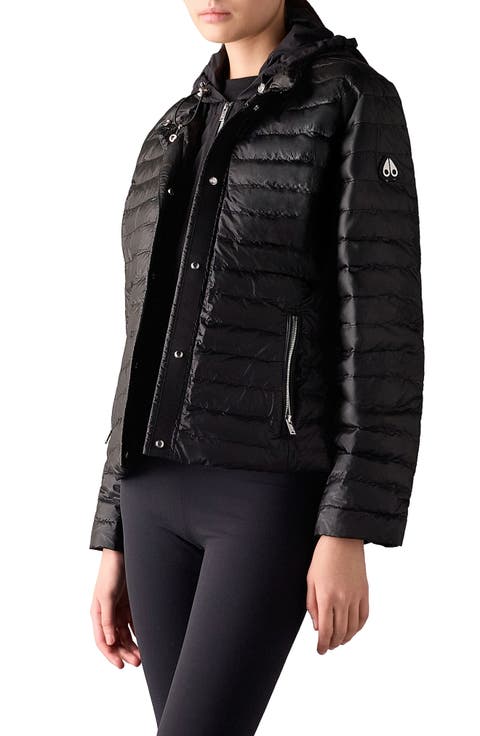 Cloud Walker 800 Fill Power Down Jacket