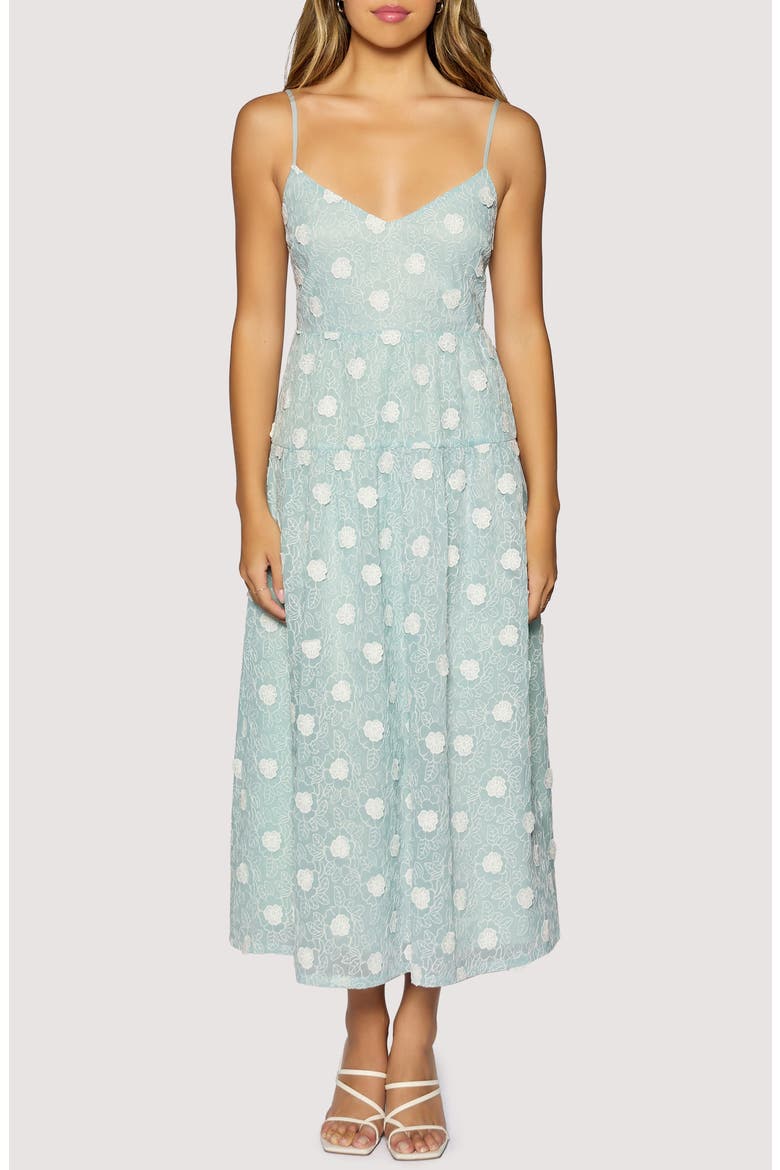 Eternal Spring Floral Appliqué Maxi Dress, Main, color, LIGHT-BLUE