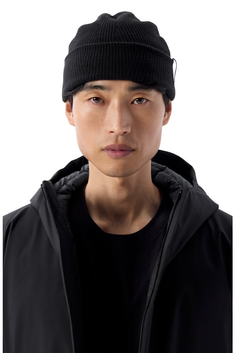 Conic Wool Toque, Alternate, color, BLACK