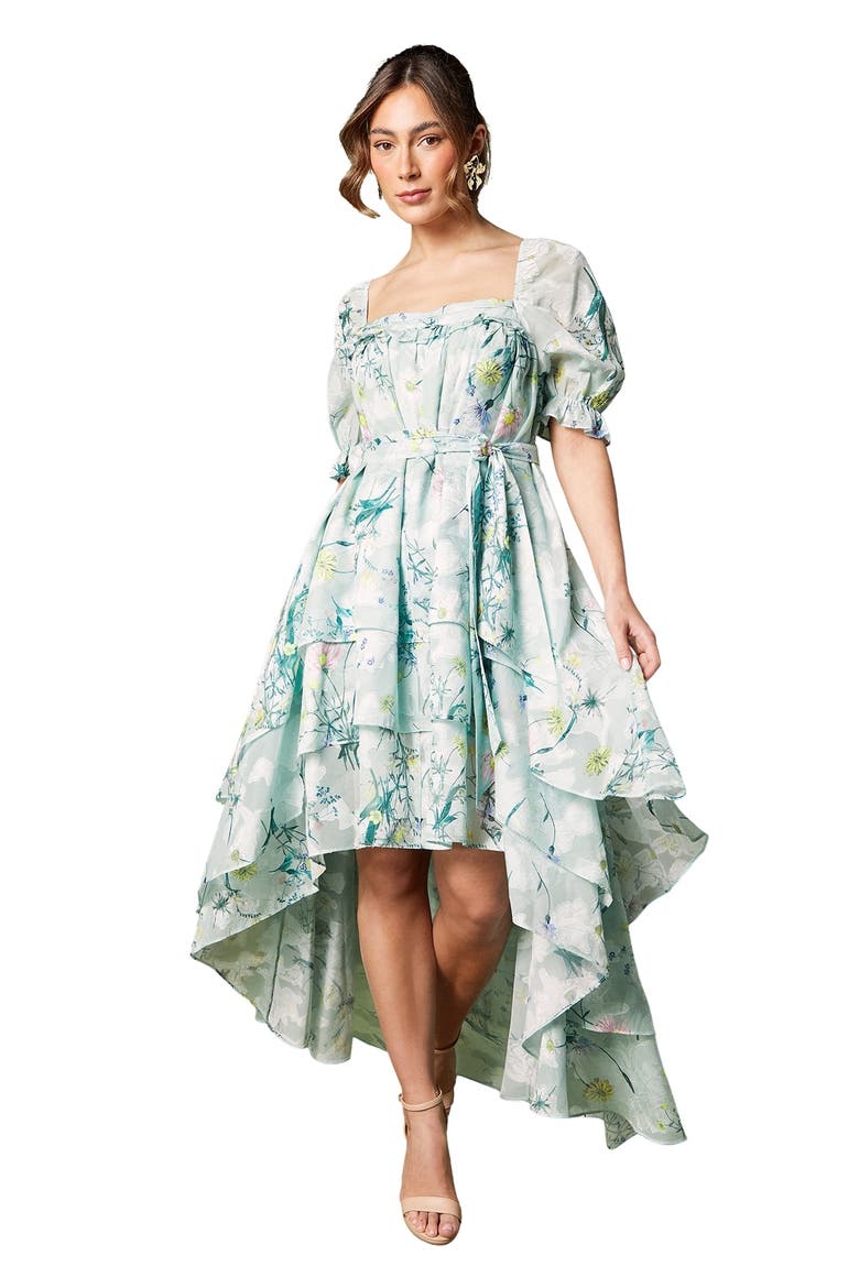 Short Sleeve Printed Chiffon Midi Dress, Main, color, Green