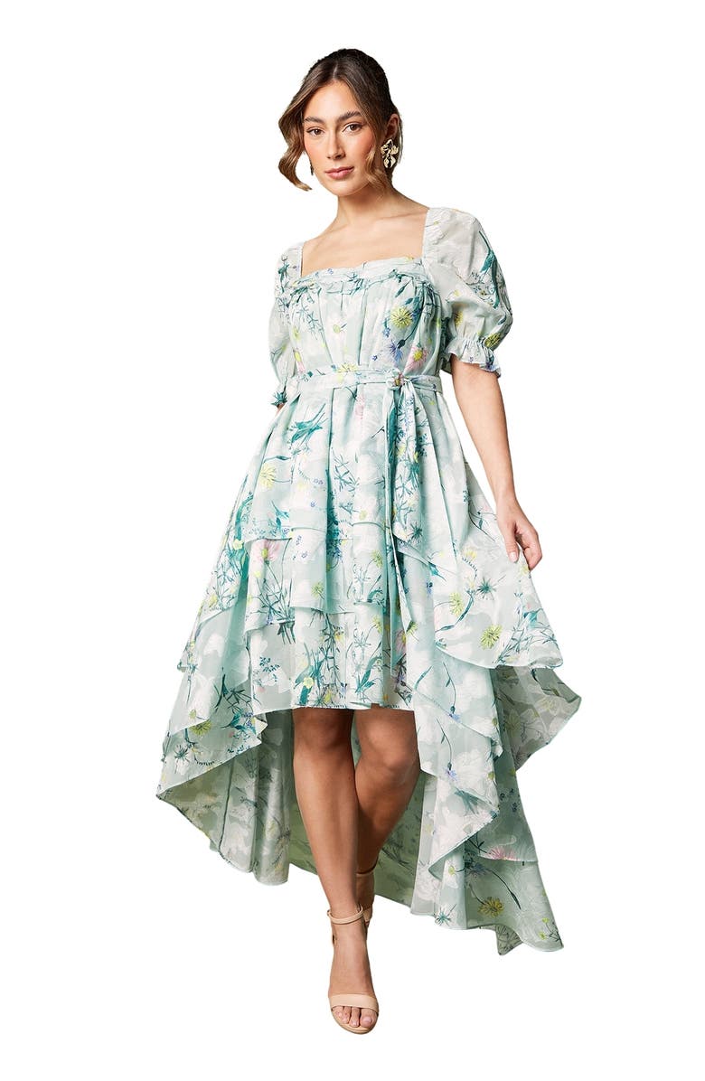Coast Short Sleeve Printed Chiffon Midi Dress, Main, color, Green