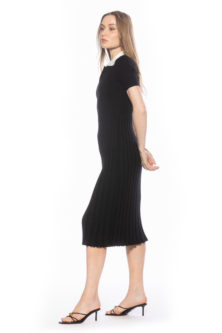 Lanie Collared Knit Midi Dress, Alternate, color, BLACK
