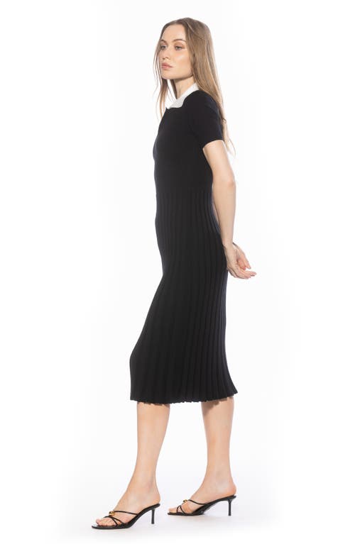 Alexia Admor Lanie Collared Knit Midi Dress In Black