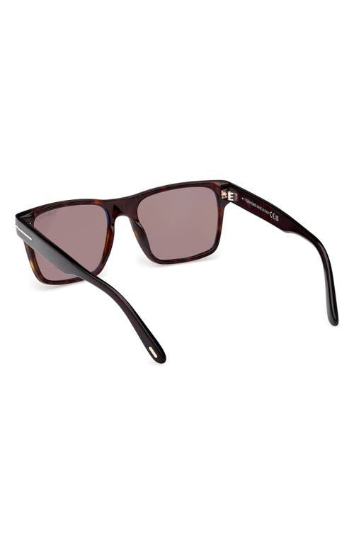 Tom Ford Calder 55mm Square Sunglasses In Shiny Dark Havana Eco