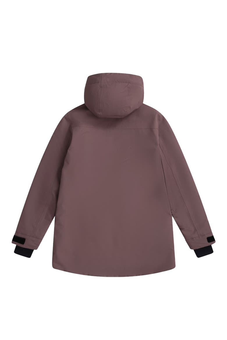 Echo Waterproof Ski Jacket, Alternate, color, Brown