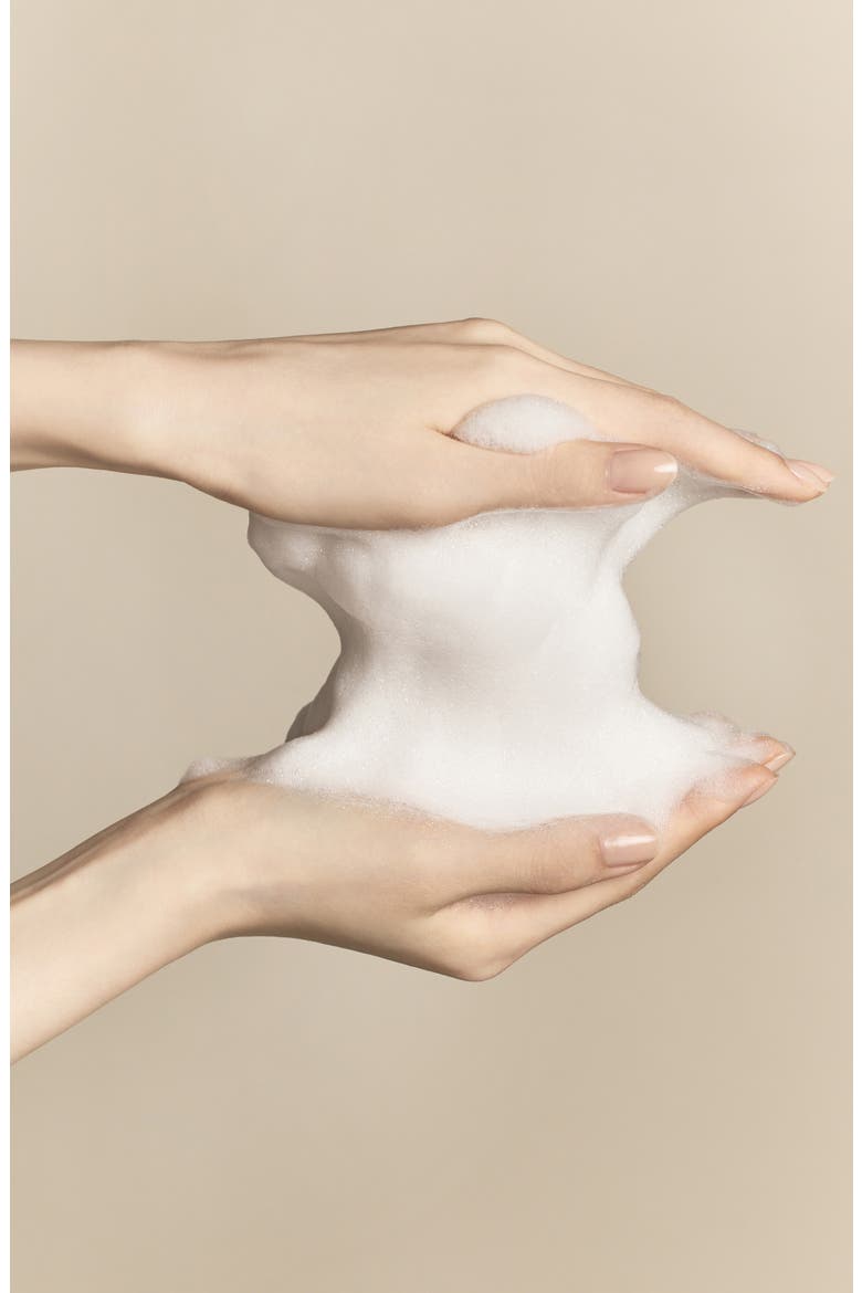 Signature Ginseng Facial Soap Duo, Alternate, color, NO COLOR