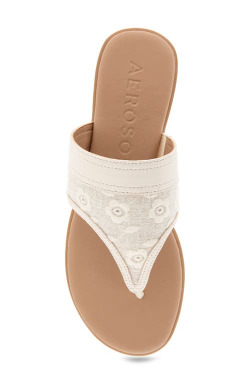 AEROSOLES AEROSOLES ILLIA POINTED TOE FLAT 