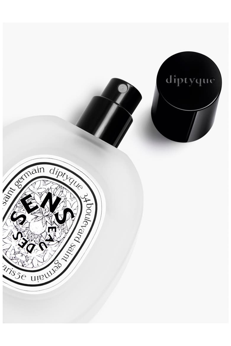 Eau Des Sens Hair Mist, Alternate, color, NO COLOR