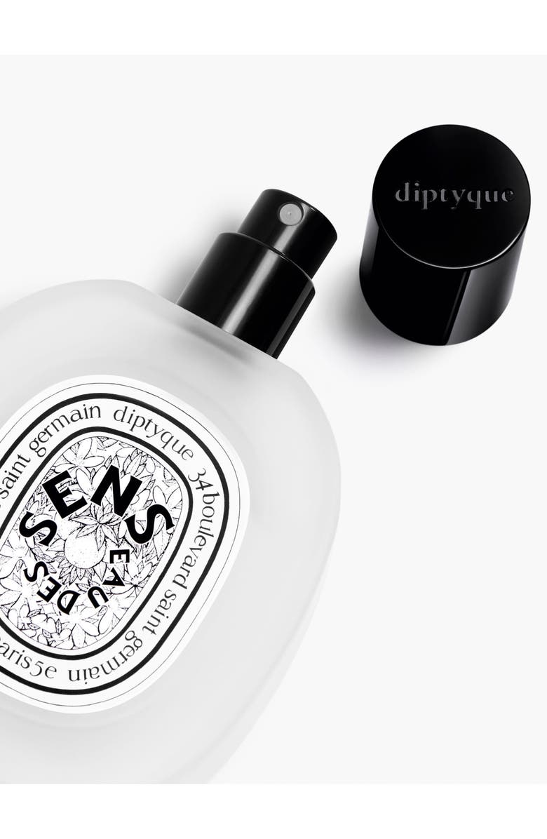 Diptyque Eau Des Sens Hair Mist, Alternate, color, 