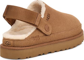 Goldenstar Cozy Clog