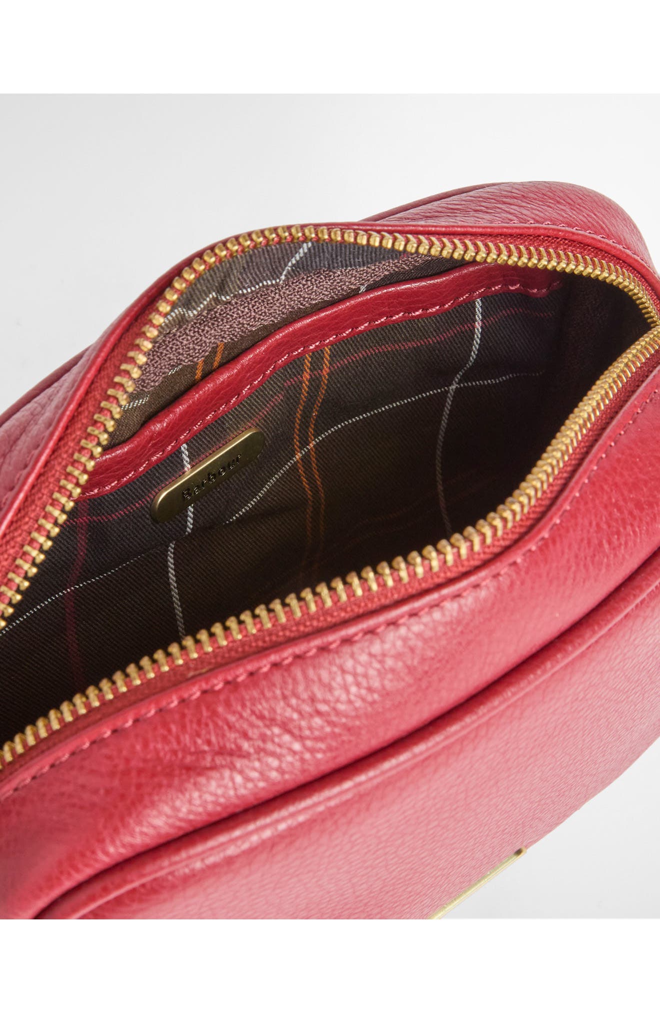 Daphne Mini Leather Crossbody Bag, Alternate, color, RED