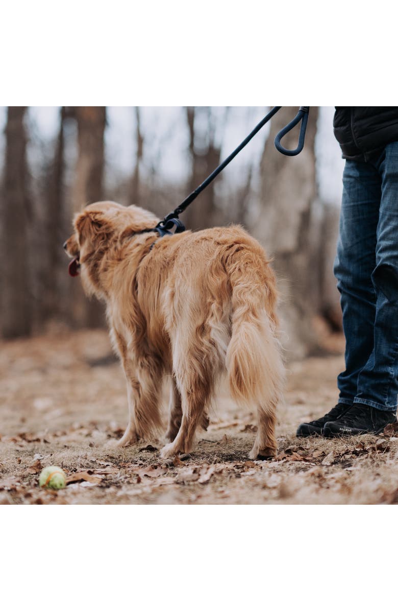 HOOZA Rope Dog Leash 1 Inch x 5 Feet, Alternate, color, Blue
