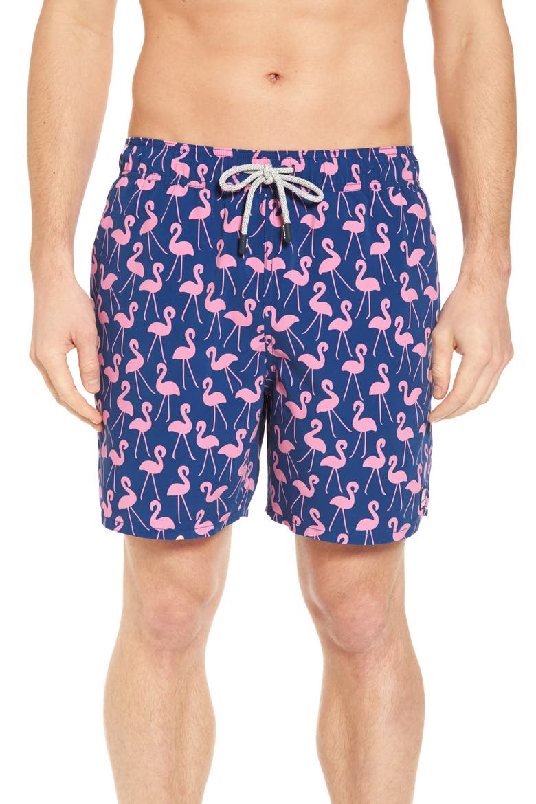 Flamingo Print Swim Trunks, Main, color, ROSE & BLUE