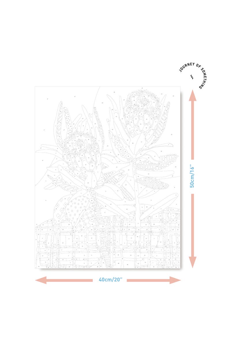 Journey of Something Paint By Numbers, Two Proteas, DIY Painting Craft Kit, Alternate, color, Multicolored