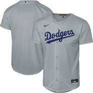 Nike Youth Nike Gray Los Angeles Dodgers Alternate Replica Jersey