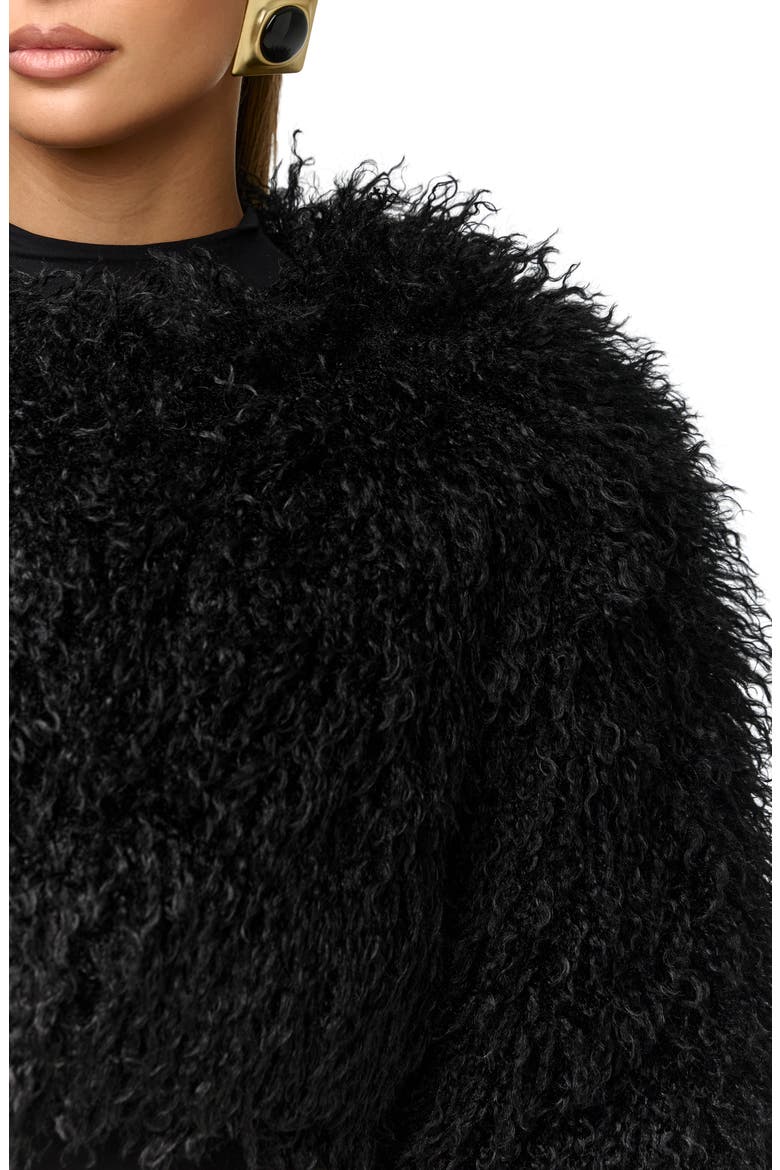 Faux Fur Plush Cropped Jacket, Alternate, color, BLACK