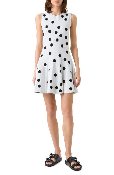 Polka Dot Jacquard Knit Fit & Flare Dress