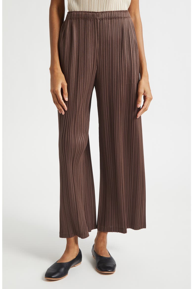 Loop Pleated Wide Leg Ankle Pants, Main, color, DARK BROWN