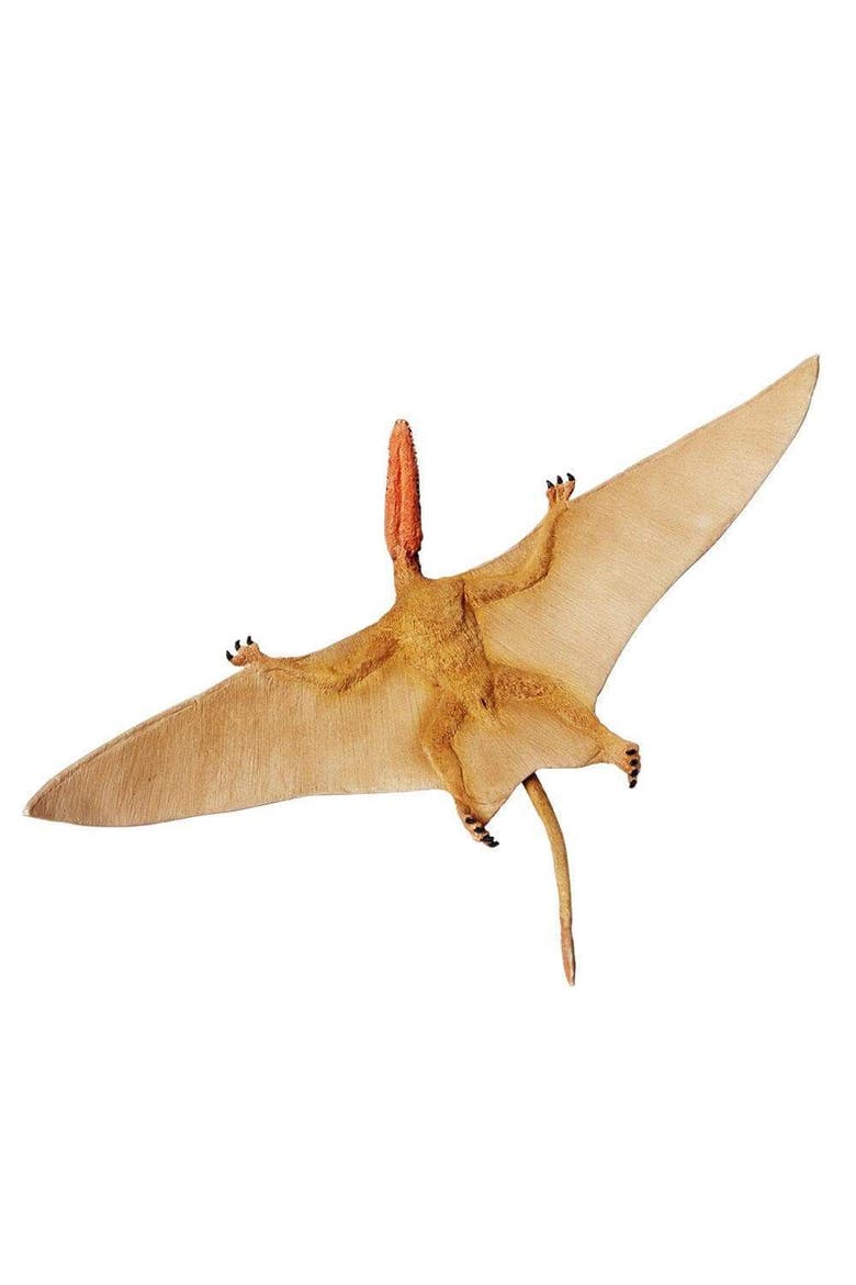 Dimorphodon Toy, Alternate, color, No Color