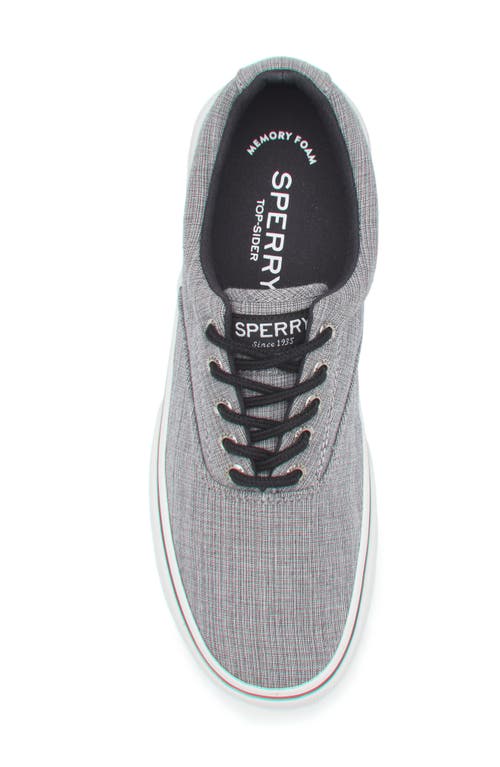 Sperry Halyard Cvo Cotton Chambray Sneaker In Gray