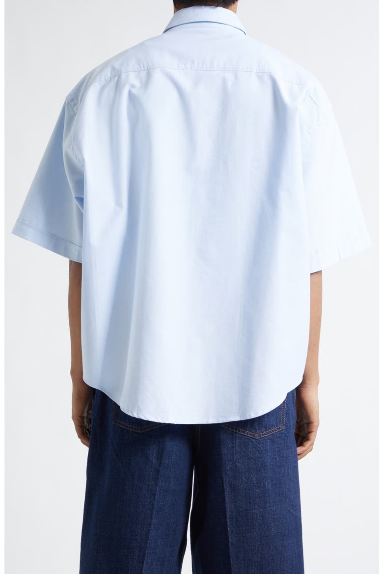 Ami de Coeur Embroidered Boxy Cotton Poplin Button-Up Shirt, Alternate, color, BLEU CIEL