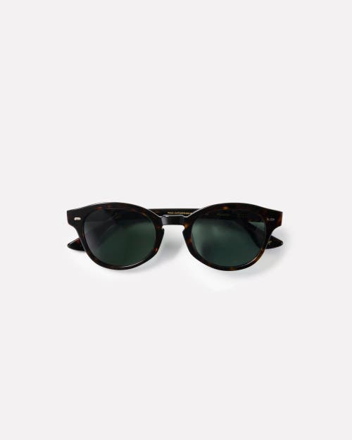 Epokhe Coil Sunglasses In Brown