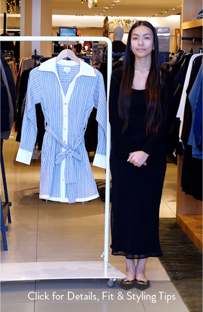 Sola Stripe Long Sleeve Minidress, sales video thumbnail