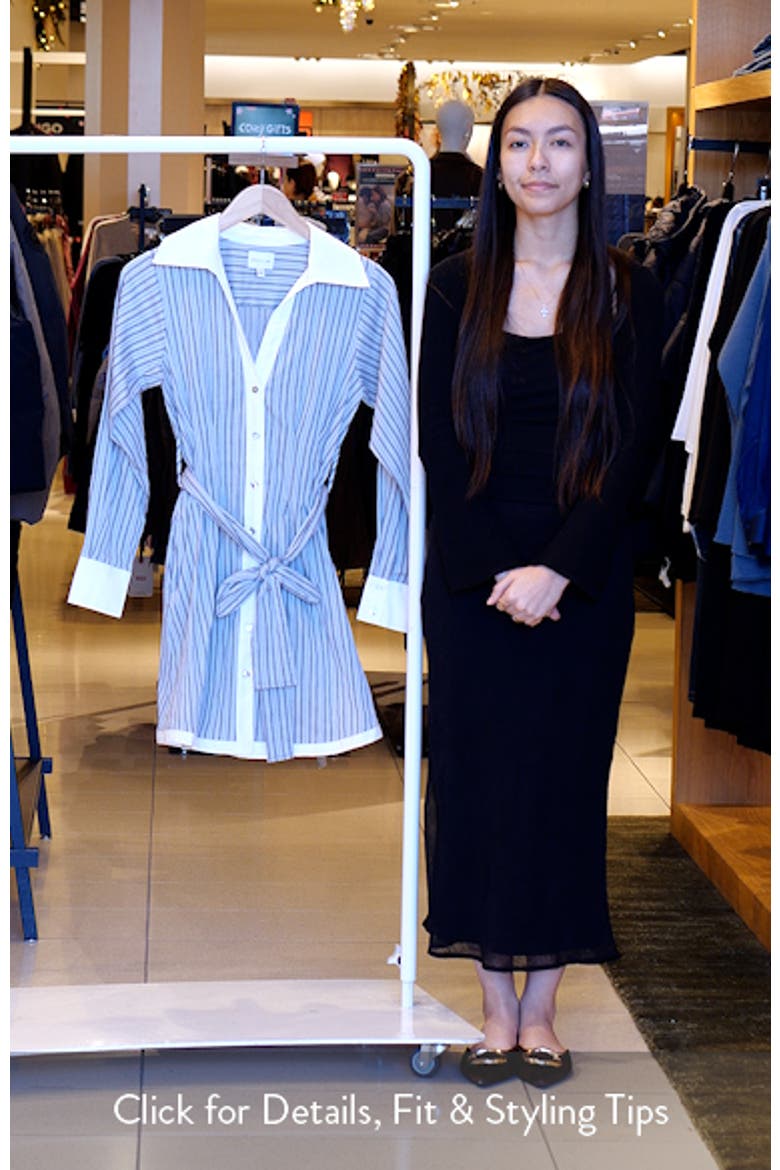 Sola Stripe Long Sleeve Minidress video