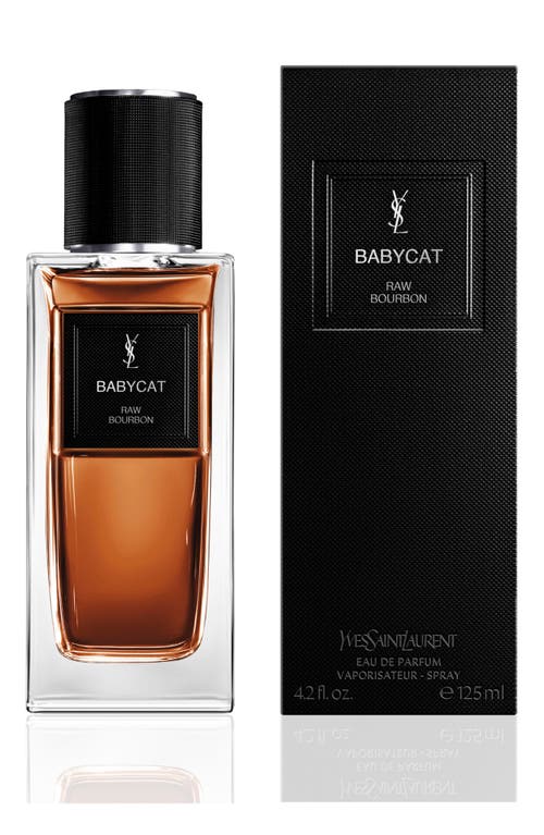Saint Laurent Yves Babycat In Transparent