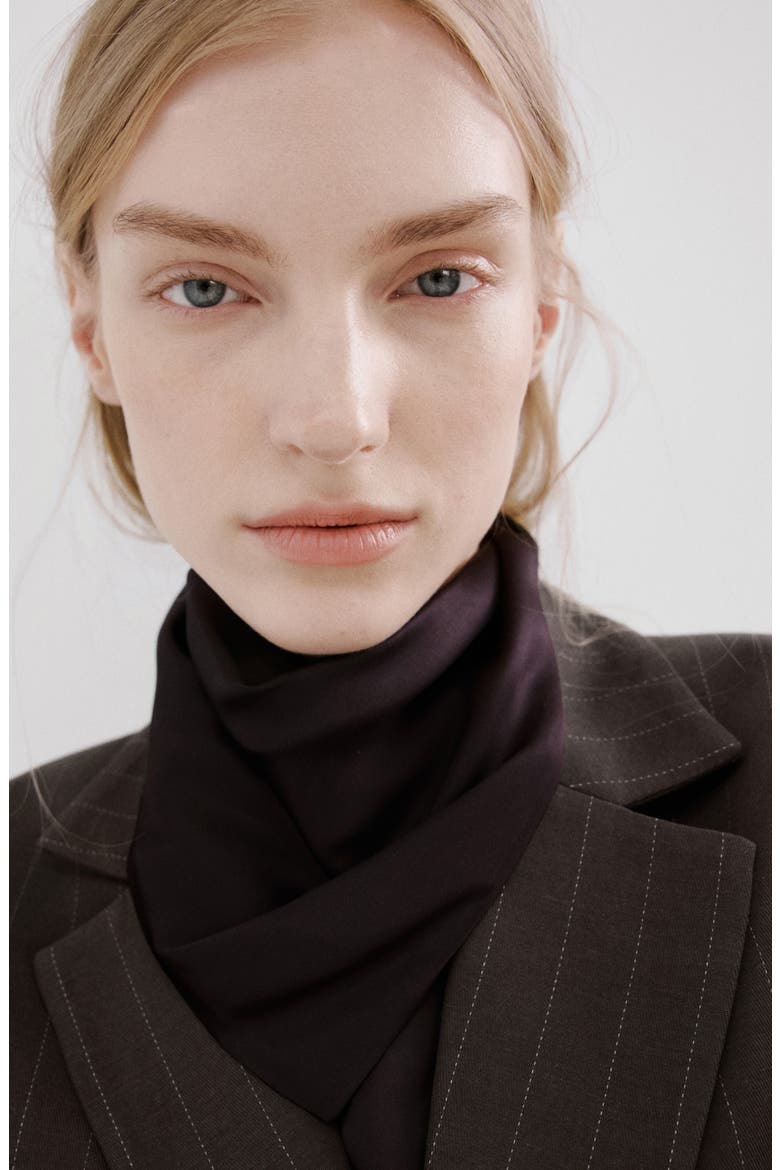 Pinstripe Suit Blazer, Alternate, color, CHOCOLATE