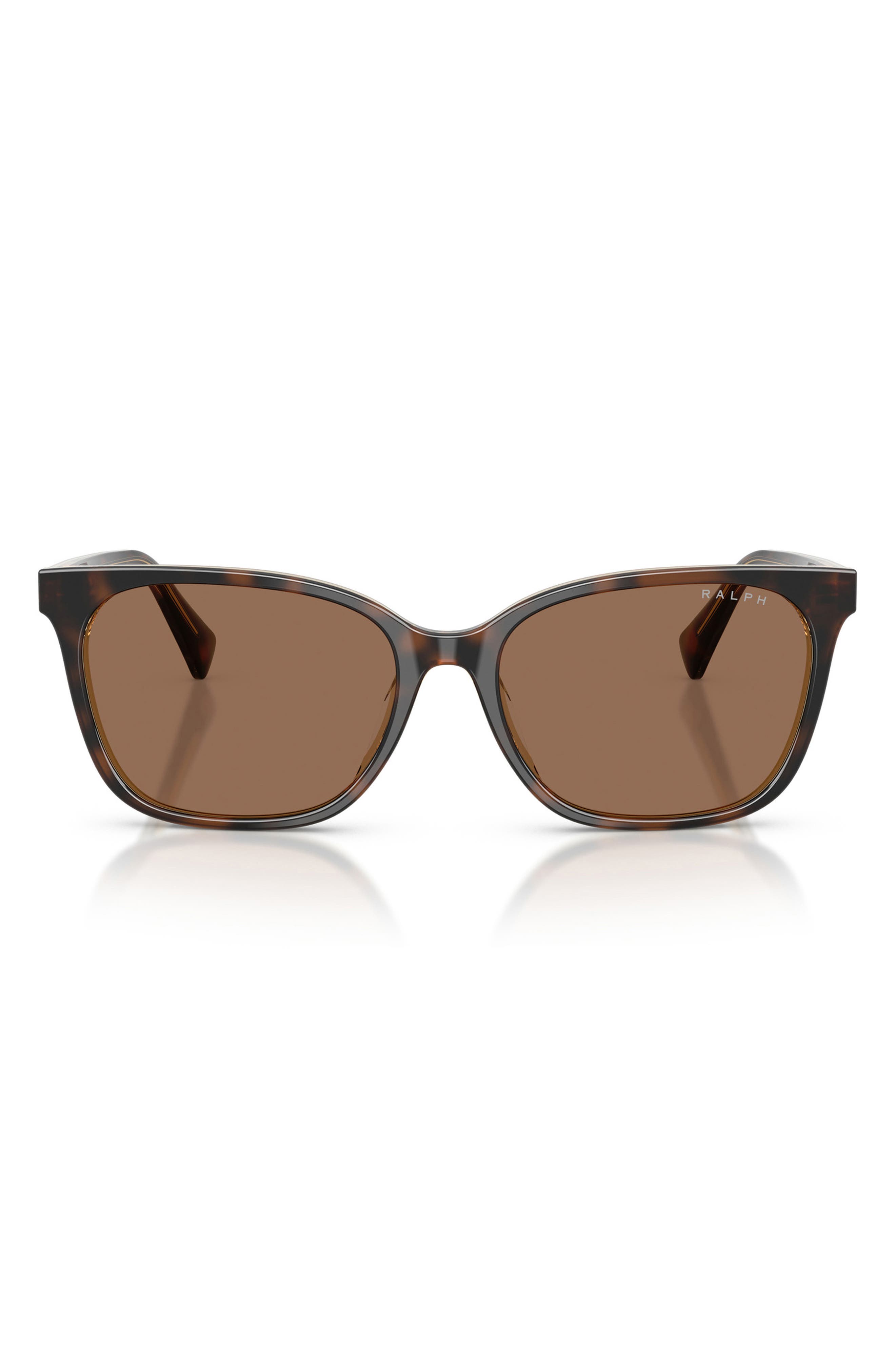 TORTOISE ON / BROWN