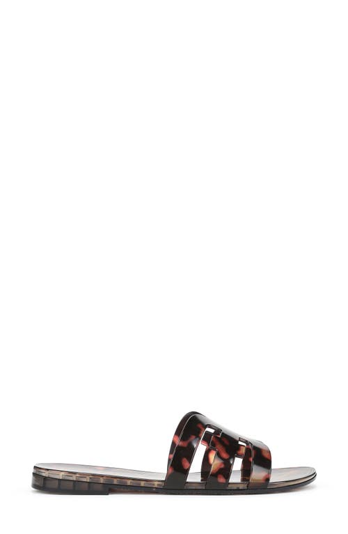 Sam Edelman Bay Jelly Slide Sandal Tortoise Jelly In Tortoise