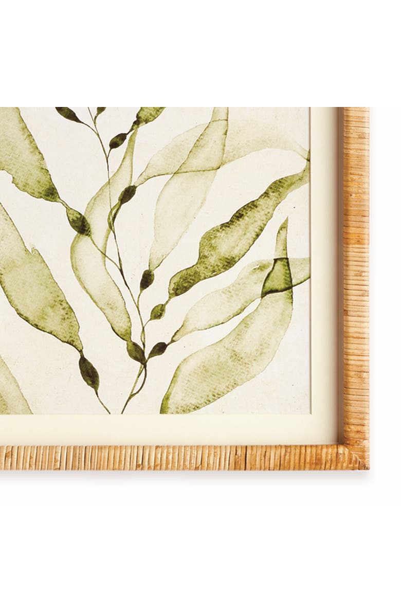 Napa Home & Garden Coastal Greenery Prints, Set of 4 - Green Fir Wood Frame, Alternate, color, Green