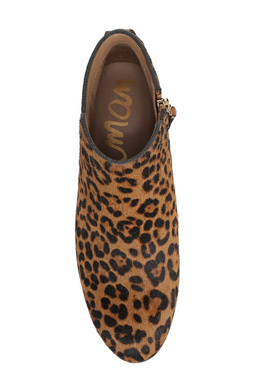 Sam Edelman Petty Bootie In Animal Print