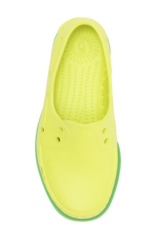 Native Shoes Kids' Howard Sugarlite Slip-on Sneaker In Celgr/cangr/papspckrb