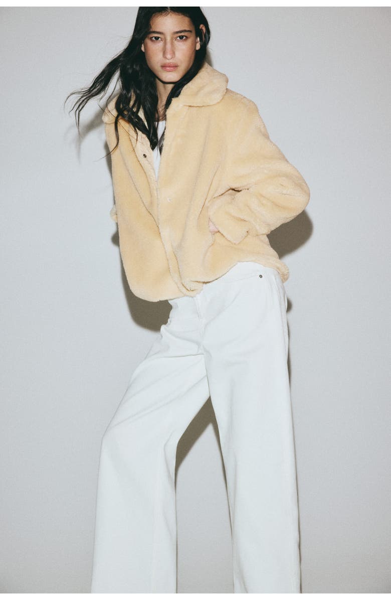 H&M Pile Jacket, Alternate, color, Beige