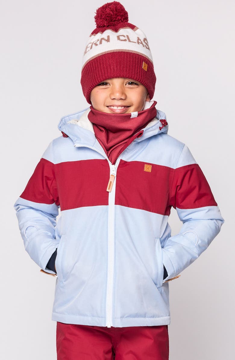 Northern Classics Winter Coat, Alternate, color, Cloud Blue